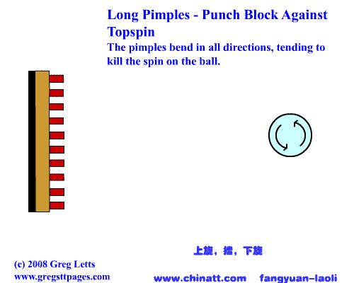意长胶会拱 意长胶会拱