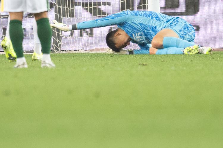 也不是特别 也不是特别